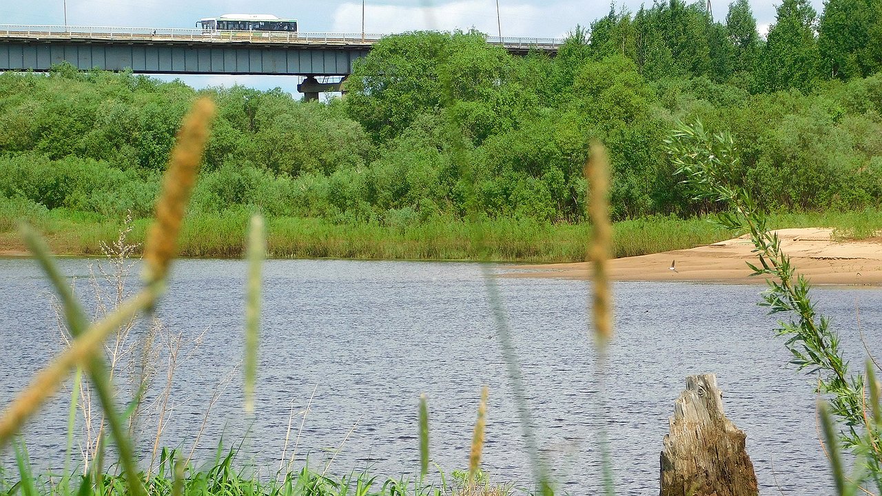 Главная картинка новости: Экологическая ситуация рек Коми: не выявили ни чистых, но и не критически загрязненных водных артерий