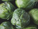 10 л на 5 ложек и опрыскала капусту в июле: белокрылка в муках откинула лапки, а личинки засохли — целые листочки до конца сезона