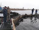 Рыбная отрасль Коми показывает рекордный рост: уловы увеличились на 37%