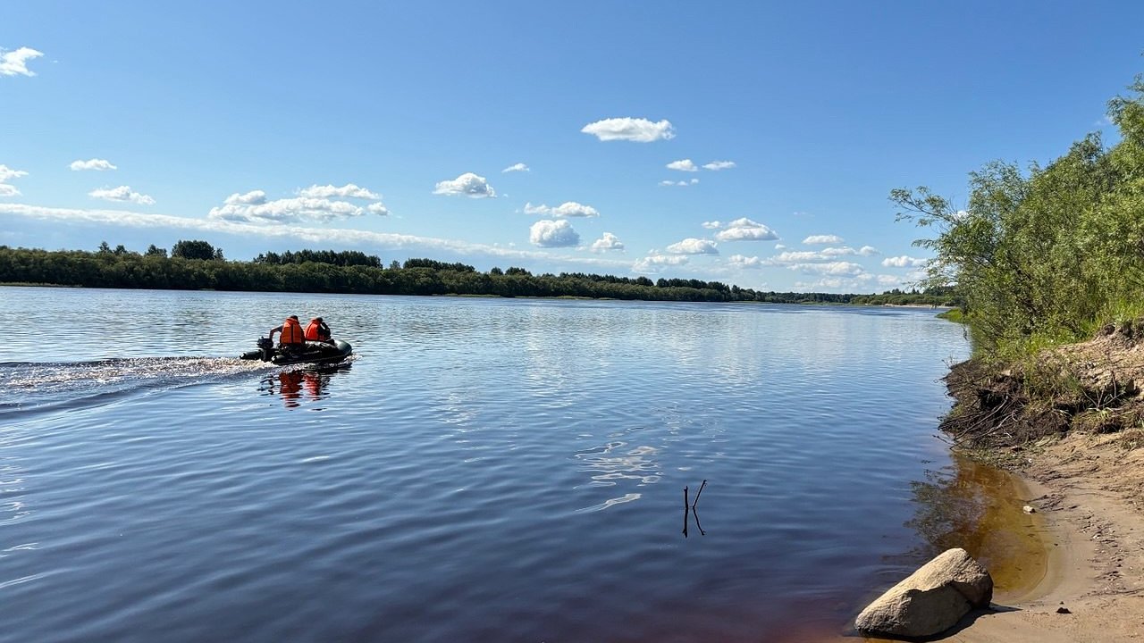 Главная картинка новости: Экологи бьют тревогу: еще одна рыба может пополнить Красную книгу Коми