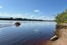 Миниатюра новости: Экологи бьют тревогу: еще одна рыба может пополнить Красную книгу Коми