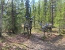 Мэр Усинска оценил состояние деревни и выслушал местных жителей