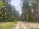 В Коми спасатели разыскивали пенсионерку, заблудившуюся в лесу