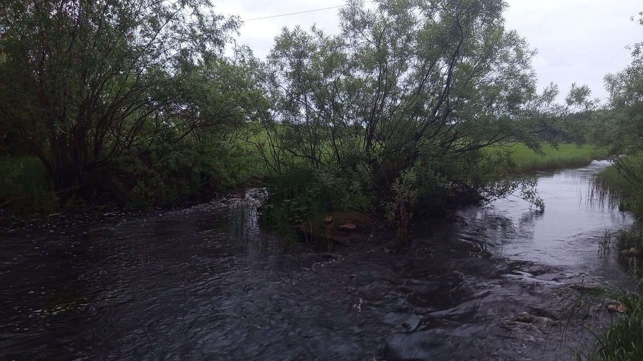 Главная картинка новости: В Усинске провели экстренное совещание из-за загрязнения водоёма