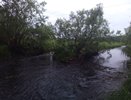 В Усинске провели экстренное совещание из-за загрязнения водоёма