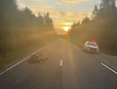 В Коми мопедист-подросток и мотоциклист пострадали в двух авариях