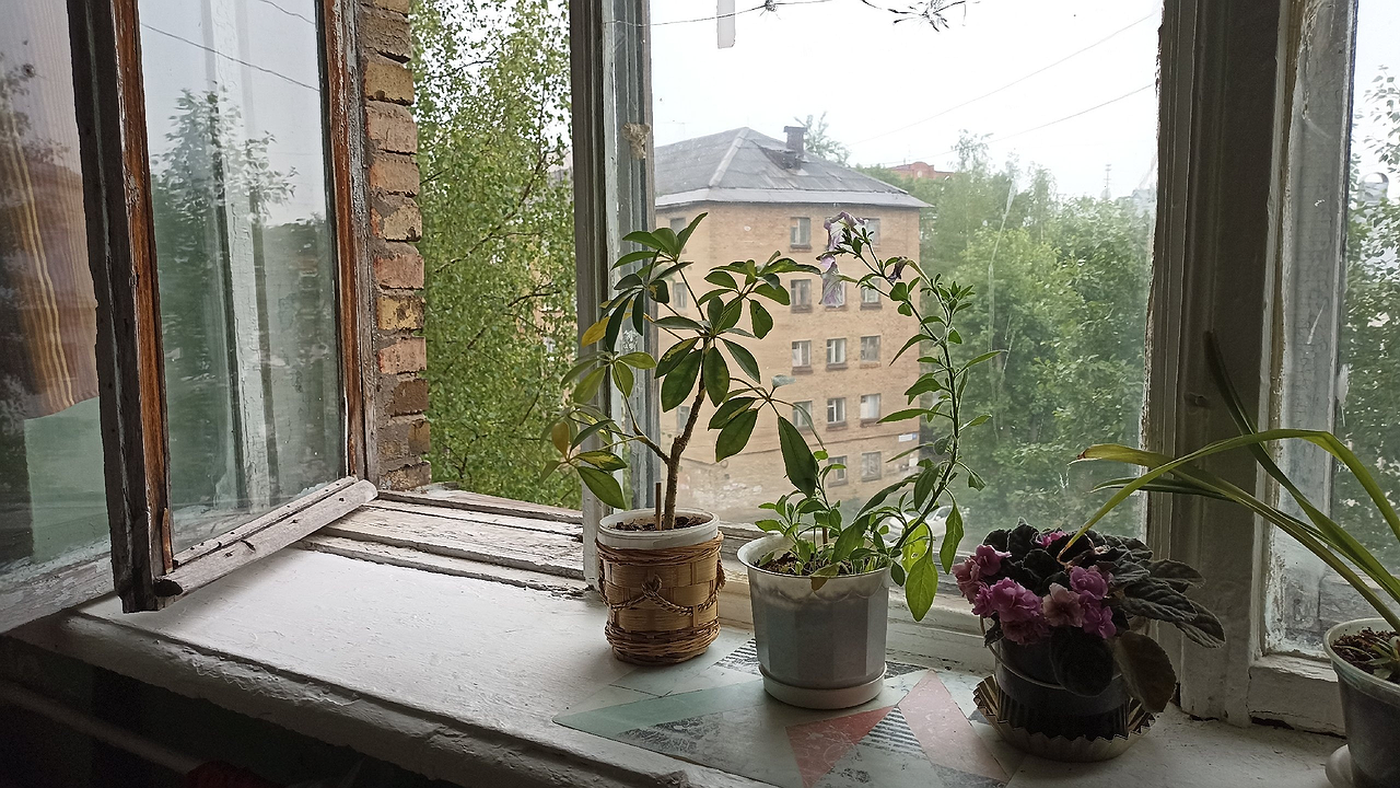 Главная картинка новости: Одна чайная ложка — и окна не трогаю до поздней осени: копеечный трюк для ленивых