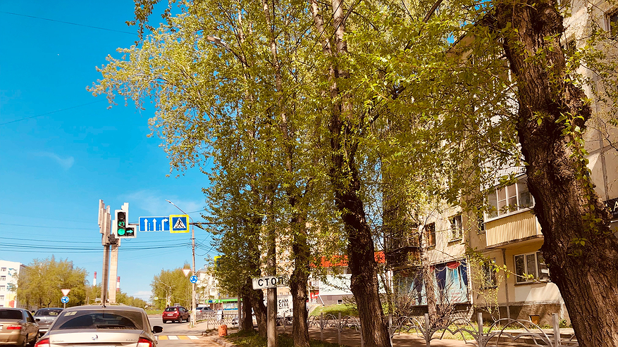 Главная картинка новости: Верховный суд постановил: какой поворотник требуется включать водителю при въезде на кольцо — правый или левый