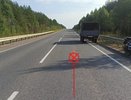 В Коми мопедист получил травмы после наезда на собаку