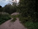 В Усинском округе стартовал ремонт дорог