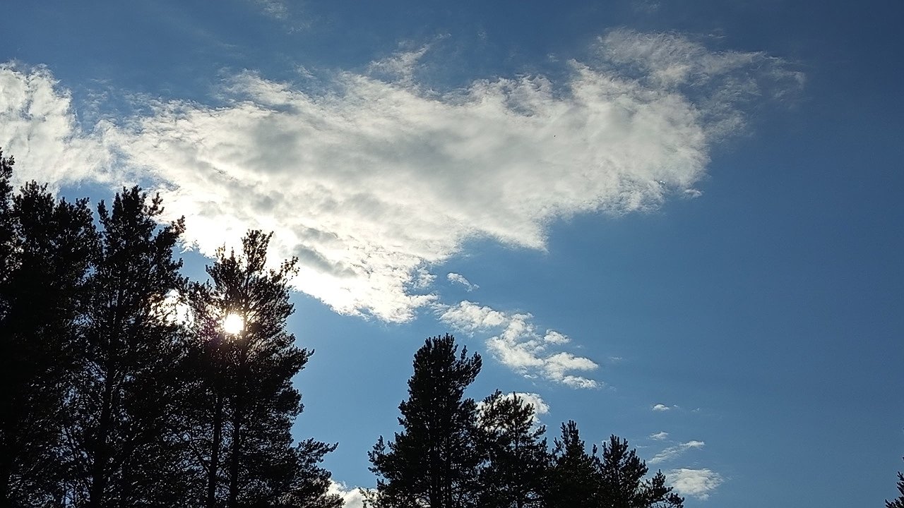 Главная картинка новости: В Коми пройден пик лесных возгораний