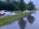 В Коми полицейские возбудили уголовное дело против женщины за повторную пьяную езду