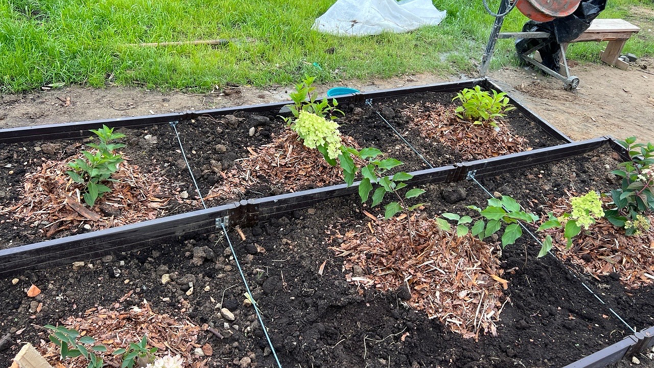 Главная картинка новости: Как правильно и в какое время суток поливать огород: советы для ушлых дачников