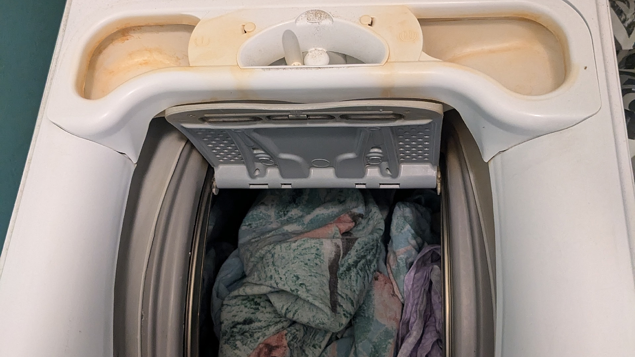 Главная картинка новости: Почему нельзя оставлять дверь стиральной машины открытой