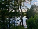 Спасатели вывели из леса пожилую женщину в Коми