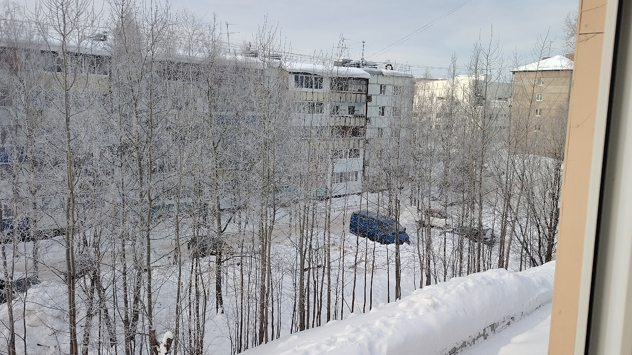Главная картинка новости: Зима наступит стремительно: синоптики объявили, когда выпадет первый снег - бабьего лета не будет