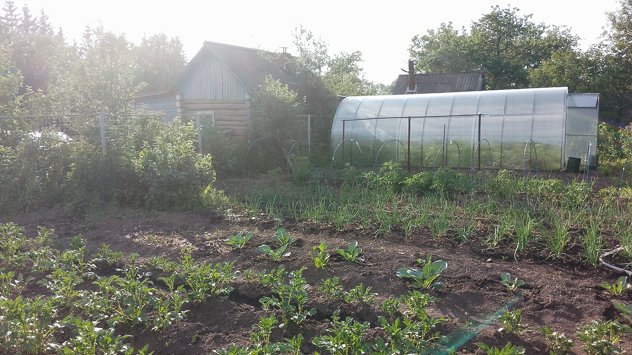 Главная картинка новости: "Получается изумительный чернозём всего за год": 3 ошибки, которые совершают дачники в организации компоста и как их не допустить