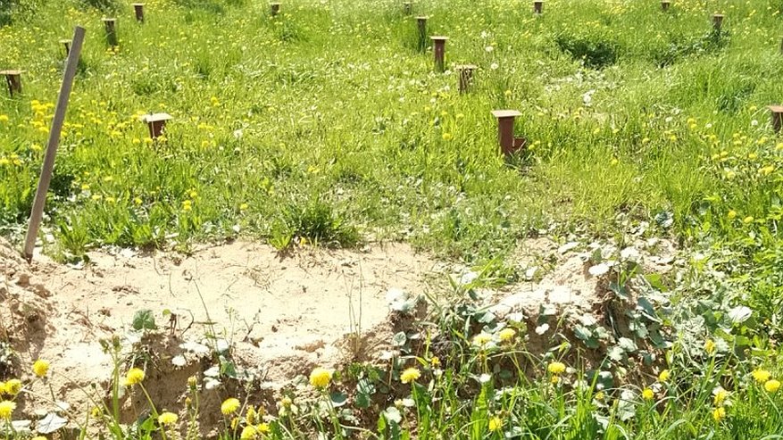 Главная картинка новости: Житель Коми выплатил долги, чтобы сохранить участок земли