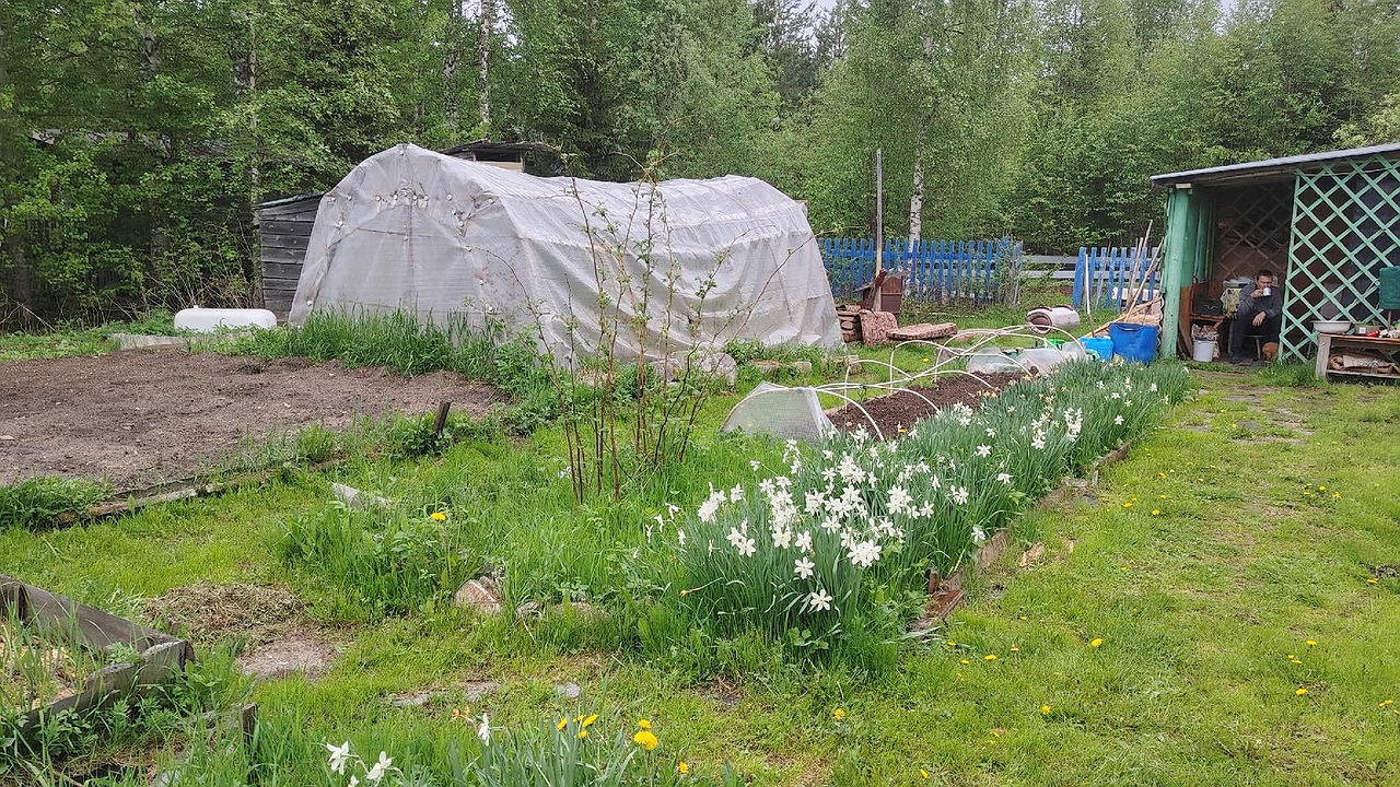 Главная картинка новости: Дачники сходят с ума от этой гениальной идеи: соседка забрала все наши 5-литровые бутылки и сильно сэкономила