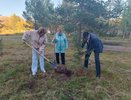 В Усинской ЦРБ появилась «Аллея дружбы» из молодых елей
