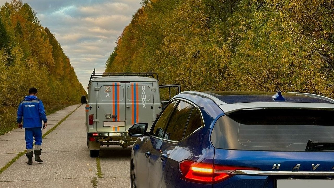 Главная картинка новости: В Коми спасатели за выходные вывели из леса девятерых грибников