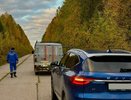 В Коми спасатели за выходные вывели из леса девятерых грибников
