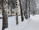 «Это будет мощнее мороза»: синоптики огорошили страну — нас ждут новые аномалии