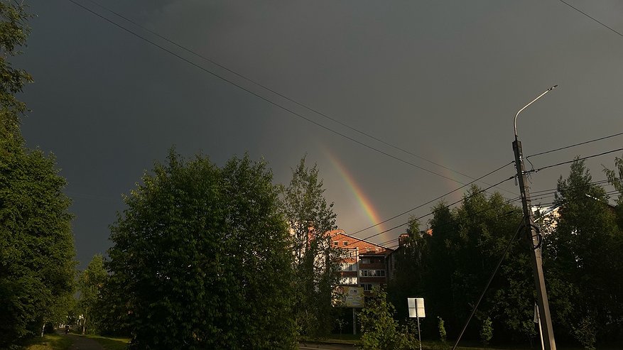 Главная картинка новости: 23 сентября в Коми ожидаются дожди и усиление ветра