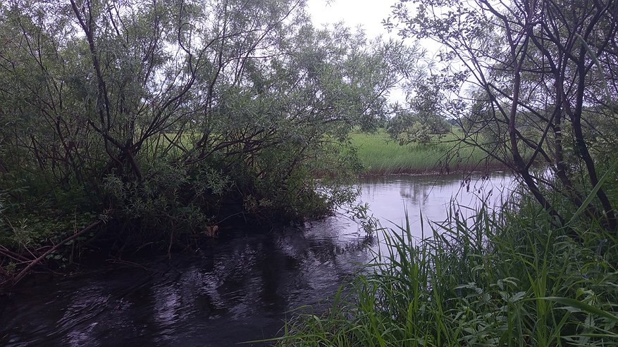 Главная картинка новости: В Усинске суд рассмотрит дело сотрудников нефтяной компании о сокрытии аварии