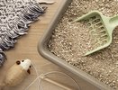 5 секунд, и кошачий полностью лоток чист! Простой лайфхак, который сэкономит ваше время