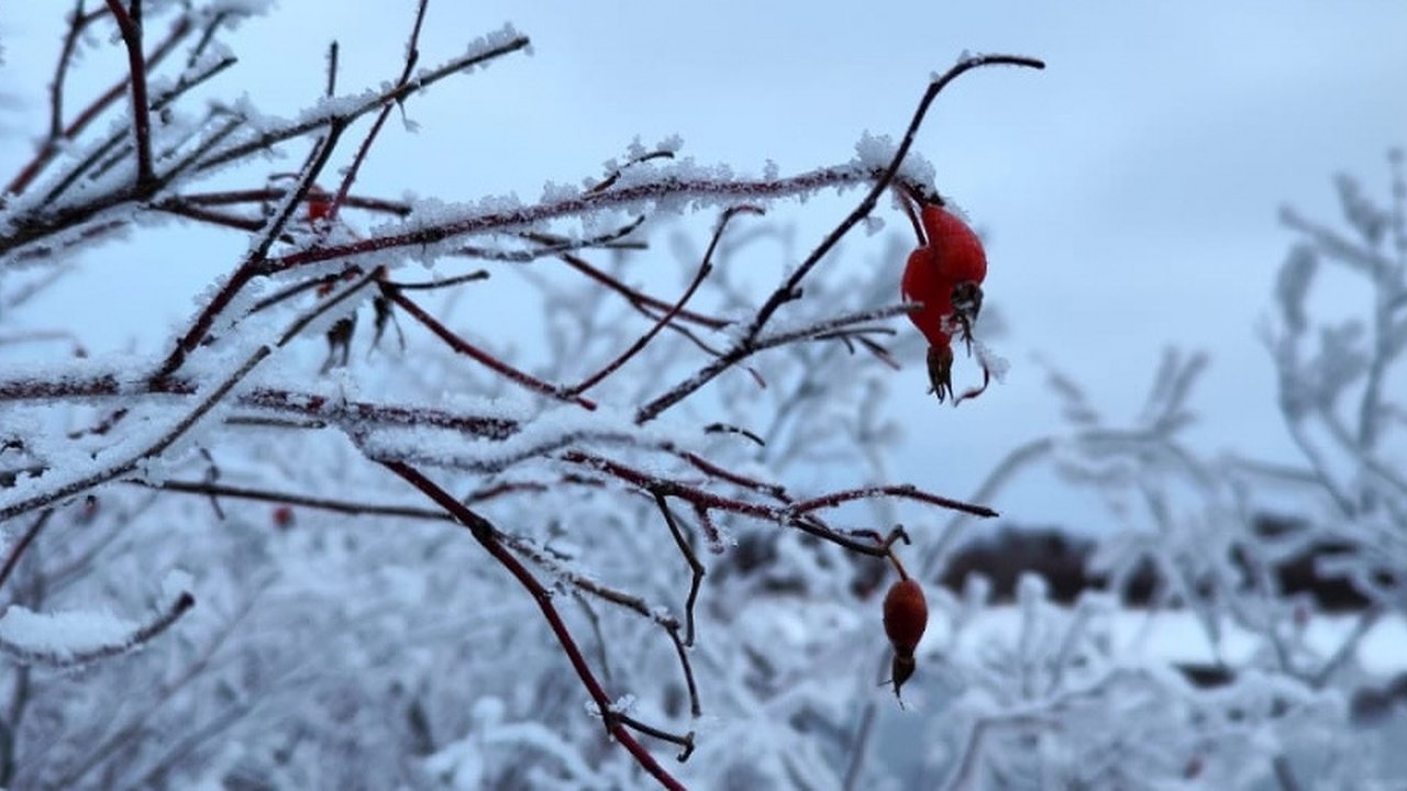 Главная картинка новости: Синоптики сообщили о погодном вираже с 25 сентября — так холодно еще не было