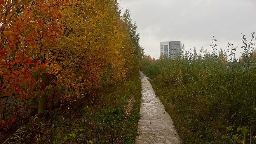 Главная картинка новости: 26 сентября в Коми ожидаются осадки и похолодание