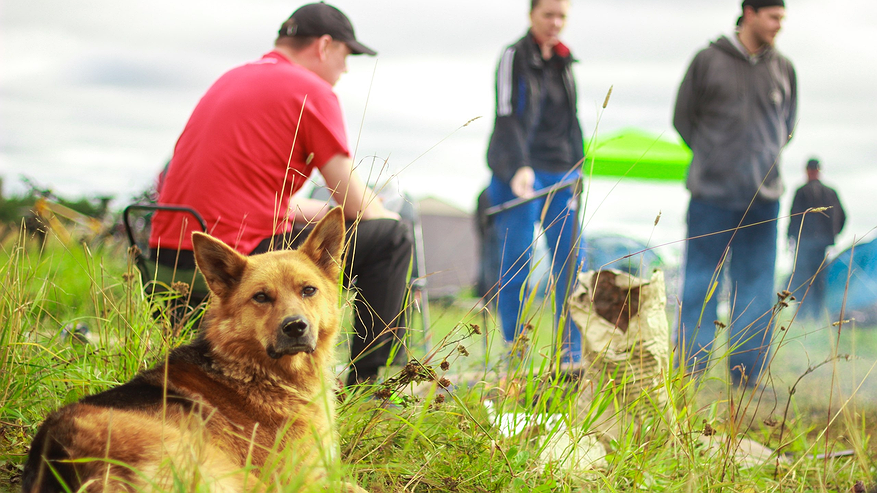 Главная картинка новости: Почему я после 55 не оставляю гостей с ночёвкой у себя дома