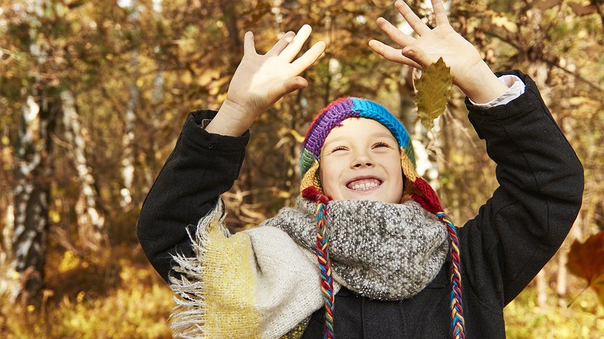 Главная картинка новости: Синоптик Сафонов предсказал наступление «бабьего лета» в октябре — погода совсем запуталась