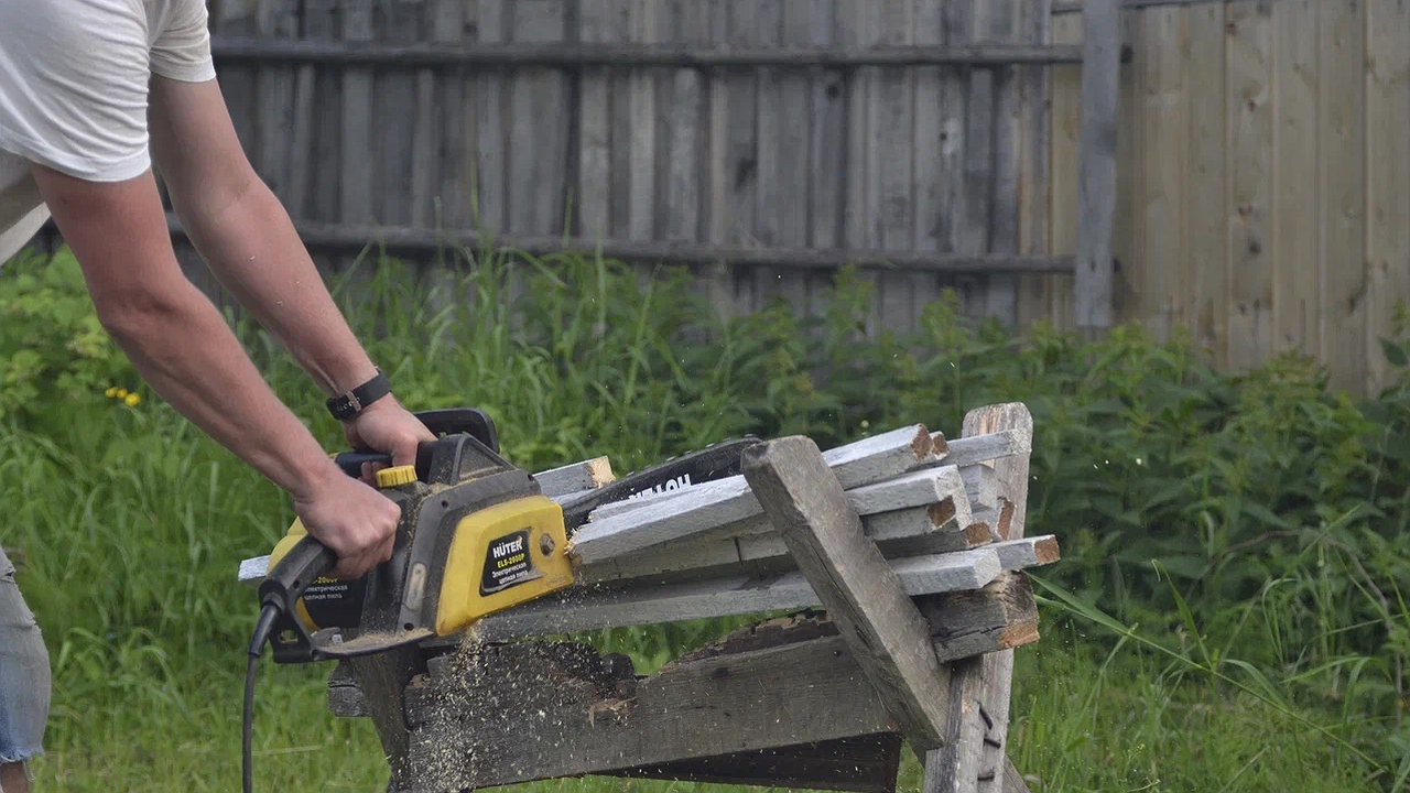 Главная картинка новости: Научились зарабатывать 100 тысяч в месяц в деревне без напряга: городские друзья обзавидовались - начали себе дом присматривать