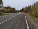 В Коми нетрезвый водитель ВАЗ лишился пассажира во время движения