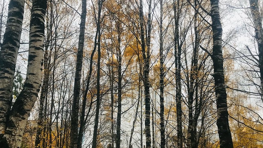 Главная картинка новости: От заморозков до дождей с мокрым снегом: Коми готовится к "разношерстной" погоде 4 октября