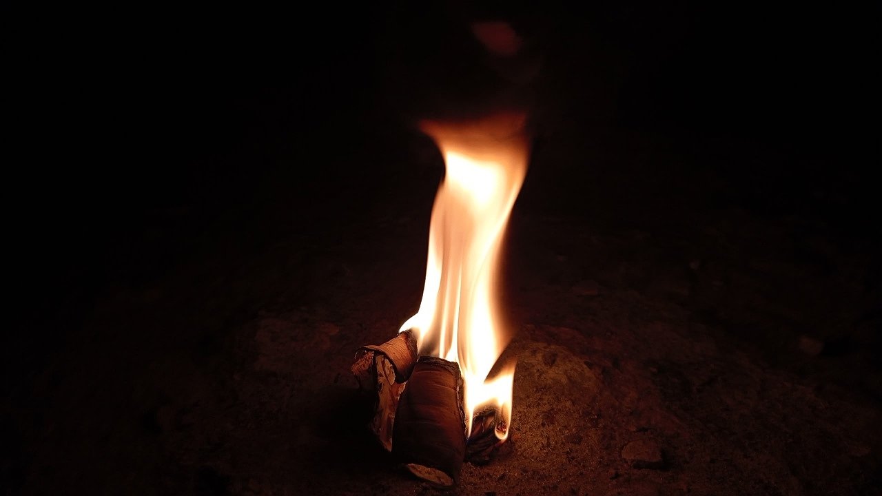 Главная картинка новости: В Коми подвели итоги пожароопасного сезона