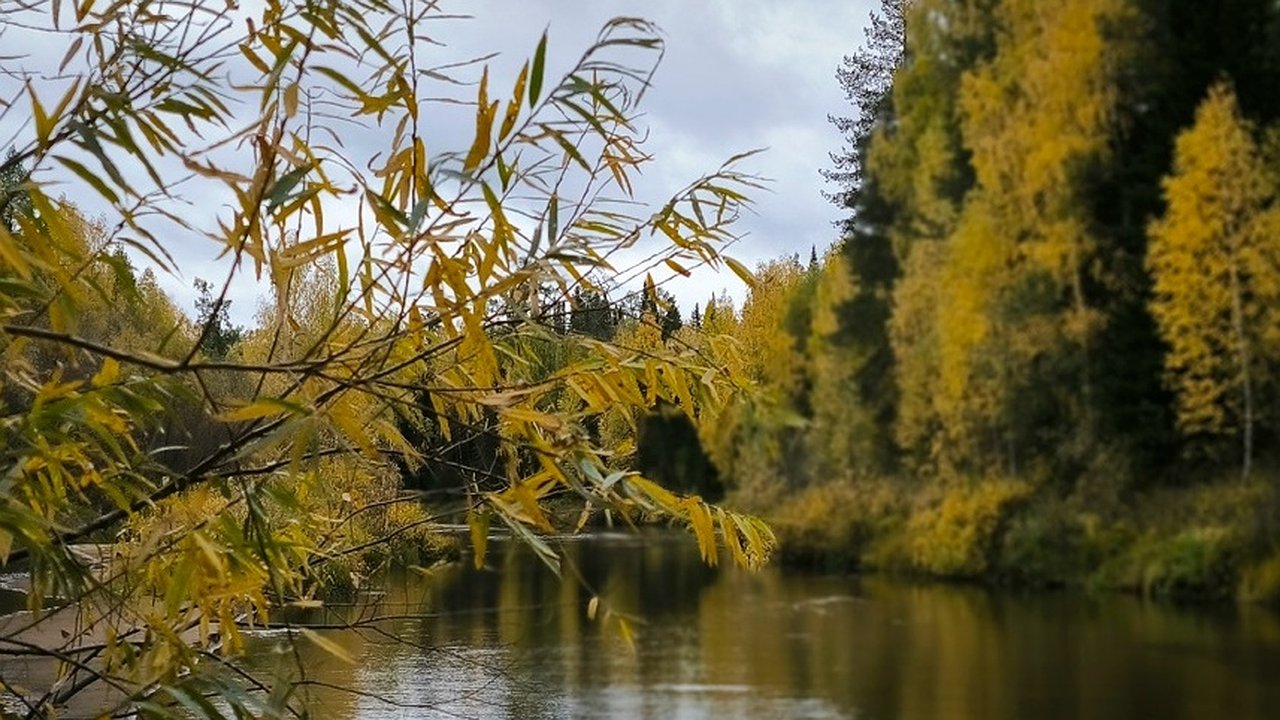 Главная картинка новости: В Коми 9 октября ожидаются переменная облачность и небольшие осадки