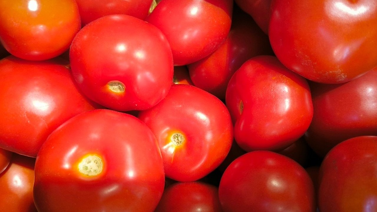 Главная картинка новости: В Коми за неделю подорожали проезд и помидоры, а свекла и электропылесосы стали дешевле