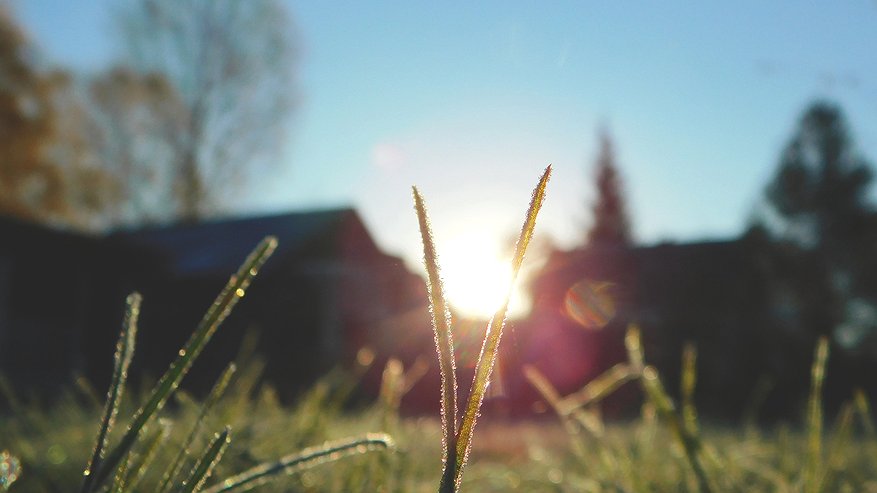 Главная картинка новости: В Коми 11 октября ожидаются заморозки и сильный ветер