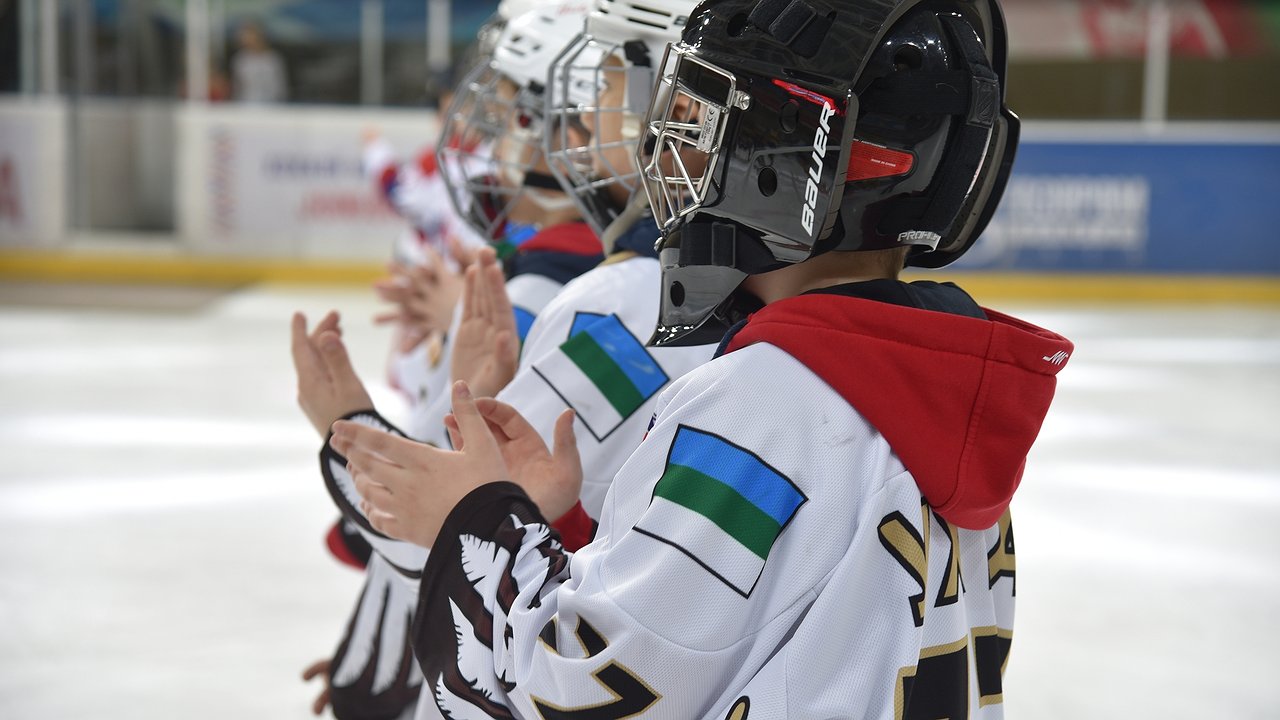 Главная картинка новости: Хоккеисты из Коми будут сотрудничать с одним из сильнейших клубов КХЛ