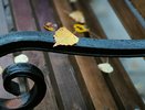 Жителей Коми 12 октября ожидают осадки и порывистый ветер