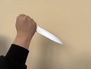 В Санкт-Петербурге уроженец Коми подозревается в жестоком убийстве сверстника
