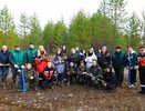 В Усинске экологи ЛУКОЙЛ-ПЕРМИ высадили около 1500 молодых елей