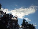 В Коми появились первые охранные зоны для природных памятников