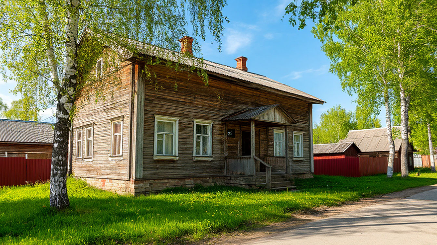 Главная картинка новости: Это дерево «съест» вашу выгребную яму за три укуса: посадил и забыл про откачку навсегда