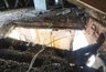Миниатюра новости: В Коми управляющую компанию проверяют после обрушения потолка в жилом доме