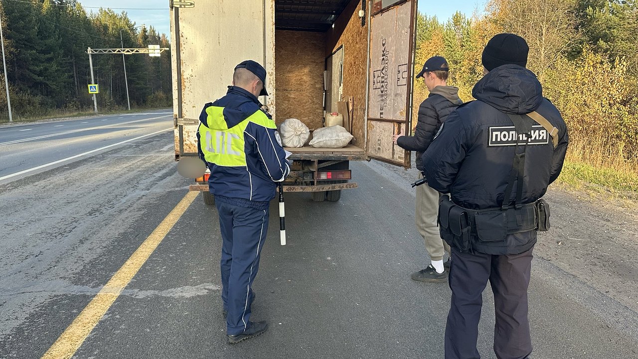 Главная картинка новости: На трассах Коми нашли оружие и наркотики во время масштабных проверок