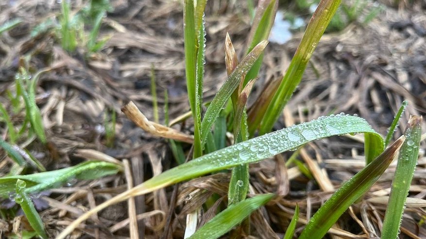 Главная картинка новости: В Коми 25 октября прогнозируется мокрый снег и туман